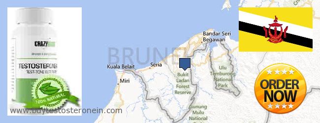 Πού να αγοράσετε Testosterone σε απευθείας σύνδεση Brunei
